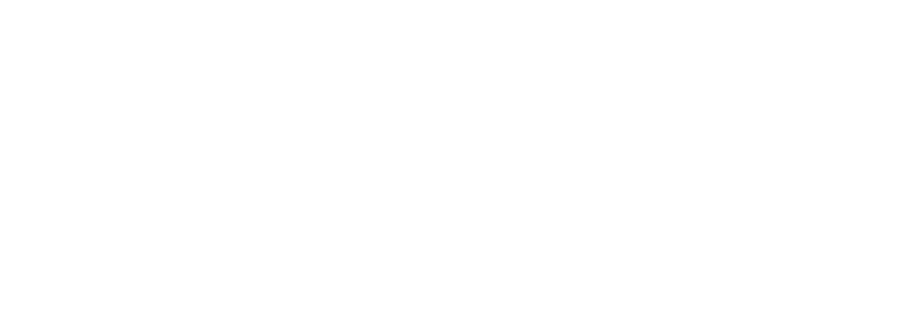 A5 logo